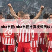 nba韦德(nba韦德比赛视频回放)