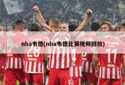 nba韦德(nba韦德比赛视频回放)