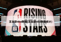 王治郅nba数据(王治郅nba数据统计)