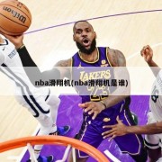 nba滑翔机(nba滑翔机是谁)