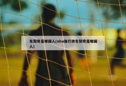 东契奇是哪国人(nba独行侠东契奇是哪国人)